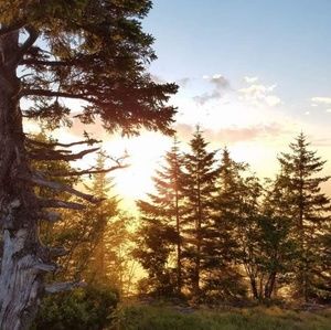 Meet your Posher, Kay